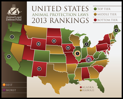 2013-United-States-Animal-Protection-Laws-Rankings-500px.png
