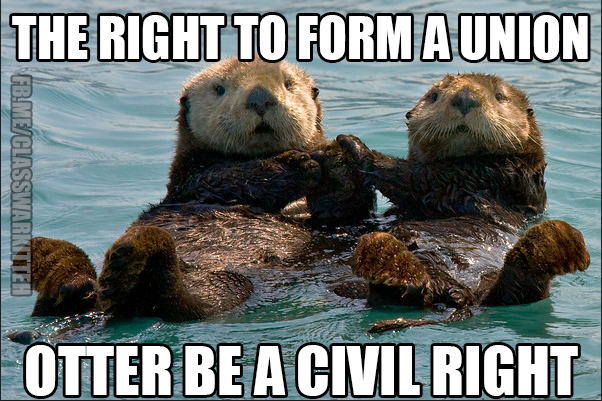 2012_12_13_otter_union.png