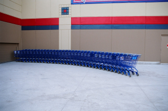2010_3_shopping_carts.jpg