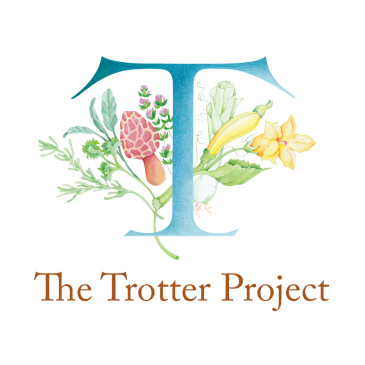 2015_7_12TrotterProject.jpg