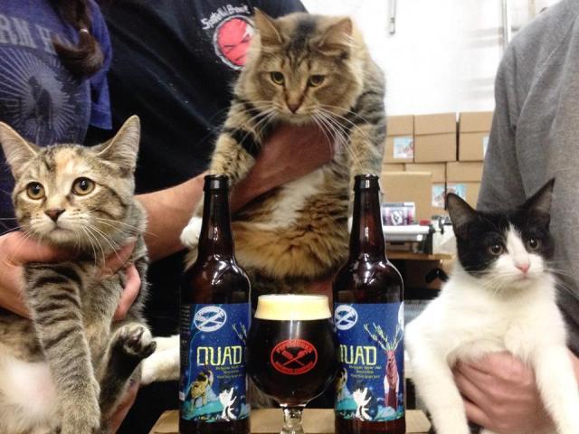 2014_11_cats_pipeworks.jpg