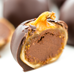 2014_12_chocolate_fig.png