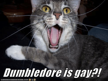 2007_10_dumbledore-is-gay-l.gif