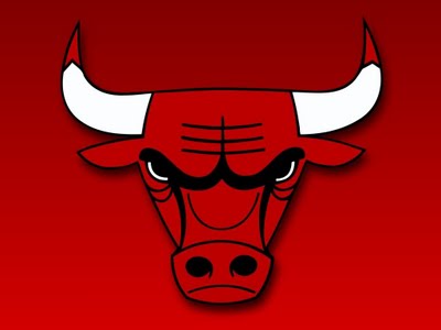 2011_11_26_bulls_logo.jpg