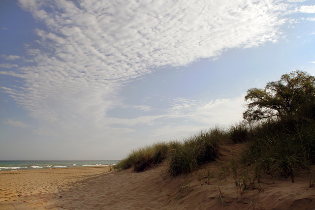 indiana-dunes-beach.jpg