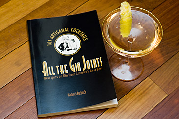 2011_11_11_gin-book.jpg