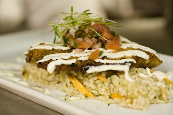 Pan Seared Citrus-Cumin Crusted Snapper, Chayote Rice $22.95