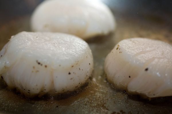Step 4 continued: So here are the scallops after 1 minute of cooking.  DO NOT MOVE THEM. They aren\'t going to stick to the bottom, we promise. Once that brown, seared crust forms, they\'ll move easily. Hang tight!