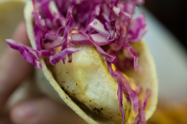 The fantastic fish taco from Big and Little\'s. Well-seasoned, grilled tilapia on a warm tortilla topped with sauce and chopped purple cabbage.