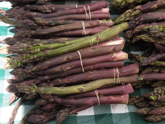 Purple Asparagus from Mick Klug Farm