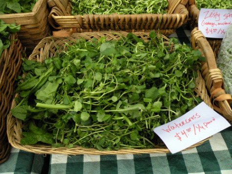 Watercress from \<a href=\"http://www.growingpower.org/\"\>Growing Power\<\/a\> in Milwaukee.