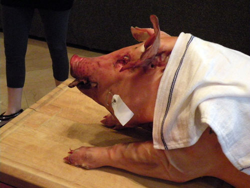 This pig, named \"Andy,\" was part of a butchering demonstration, with some lucky attendees taking parts of him home.