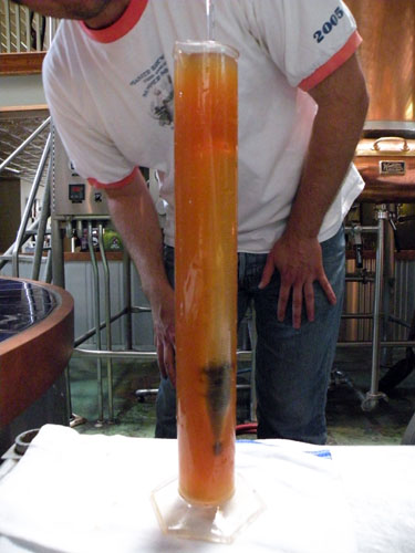 Haggerty measures the gravity of the mash using a hydrometer.