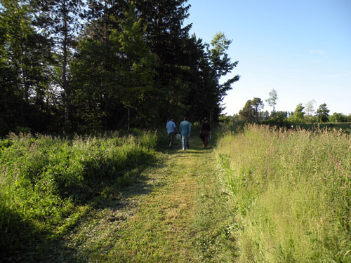 The beginning of the half-mile long trail leading to the farm dinner.