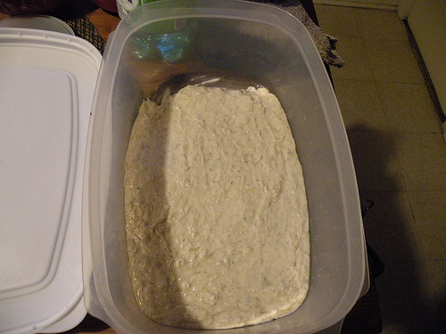 The dough after fully resting