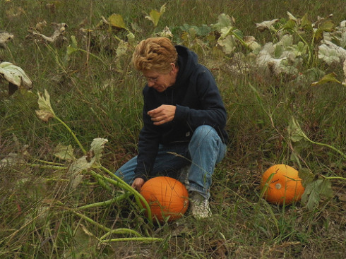 Westerhoff shows us the proper way to pick a pumpkin.