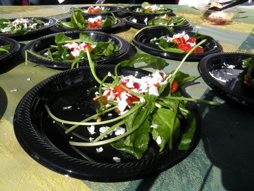 Micro green salad from NAHA\'s Carrie Nahabedian