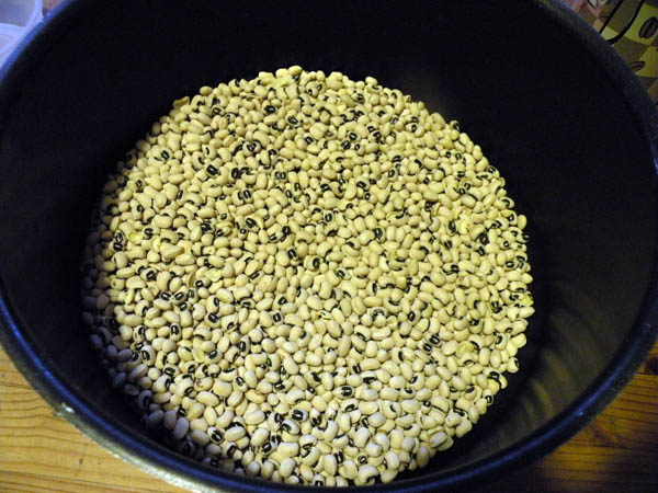 Blackeyed peas before the soak. You can use canned blackeyed peas, but I prefer dried peas on a long soak (6-8 hours of soaking in water, then drained, covered in more water and cooked).