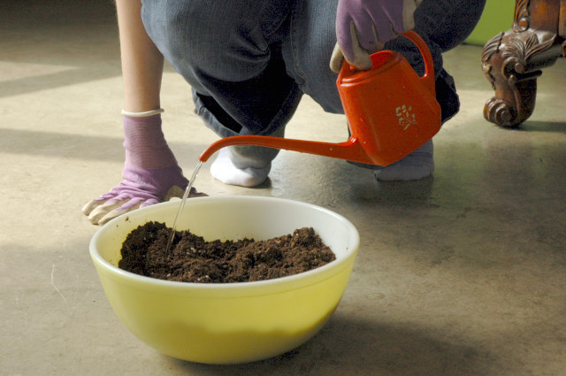 Mix the soil and water together until all parts of the soil are moist, but not soggy.