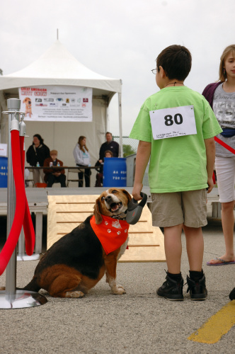 Waiting for the Waggiest Tail contest to begin. \<em\>Kevin Robinson/Chicagoist\<\/em\>