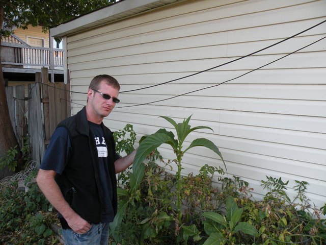 Phillip Foss with the tobacco plants.