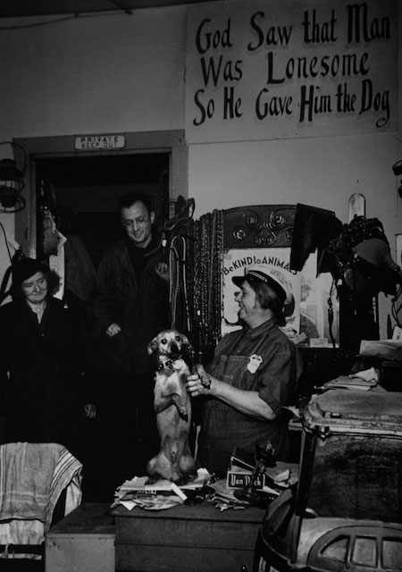 He loved Viola Larsen, whose Ashland Avenue store saved the lives of many a stray.