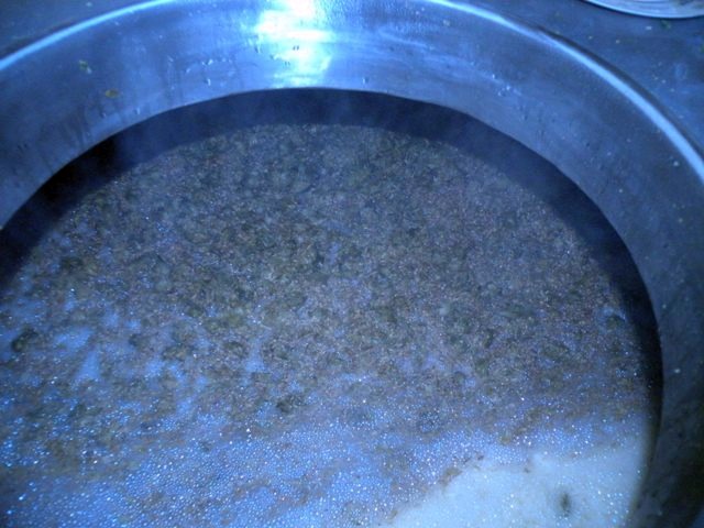 A look at the mash, teeming with Cascade hop leaves