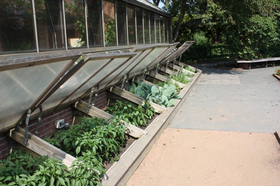 Cold frames, open for sumer.