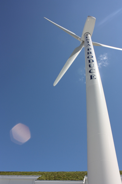 Testa\'s turbine stands 250 feet tall