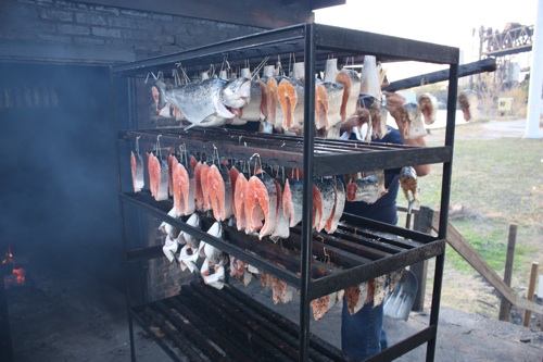 Fish on their way into the smokehouse at Calumet Fisheries.   Photo by Anthony Todd.