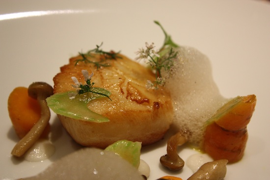 Scallops with butter-braised carrots, celery and celery blossoms.  (Photo by Anthony Todd)