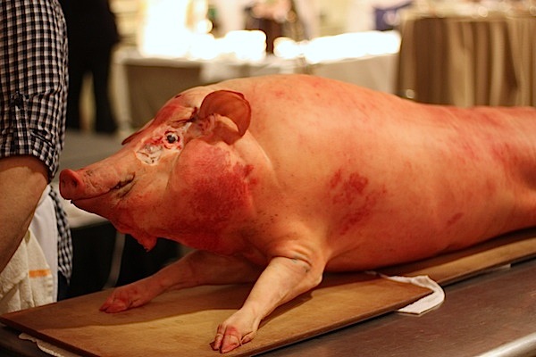 The pig later butchered by Rob Levitt