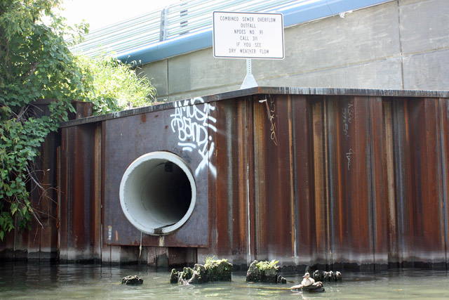 The River is surprisingly clear of graffiti, aside from this Amuse-d combined sewer spillway.