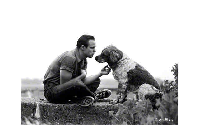 Plus a delightful day with the young Marlon Brando on his family\'s farm in Libertyville in 1950.\r\n