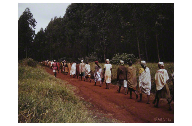 In the early 60s Kenya&mdash;white and black&mdash;was mindlessly beset by Mau Mau terrorists who even killed the chickens to heighten the blood awareness factor. I went along with 1,000 liberated Kikuyu women on an early morning panga hunt for Mau Maus hiding in the fields. The girls calmly sliced off heads and penises of the 13 marauders they caught&mdash;and cleared the area. The penises were just an afterthought based on their fear of rape and having to bring up the child of an enemy. Of course, a related aspect of patrimony is diligently discussed in our civilized courts dealing with the legality of abortions and the consequence of their illegality.\r\n