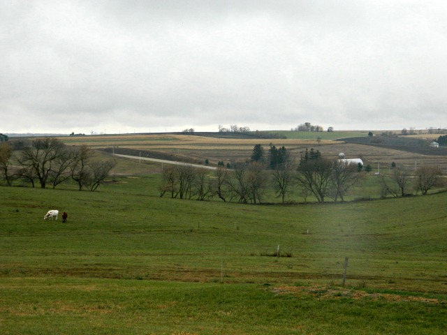 The farm.