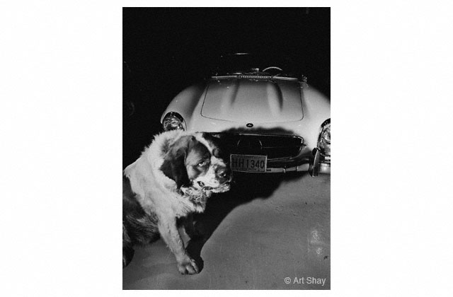 In the Mansion garage, Hef\'s Mercedes was at the ready, as was his Labrador named Jeff.