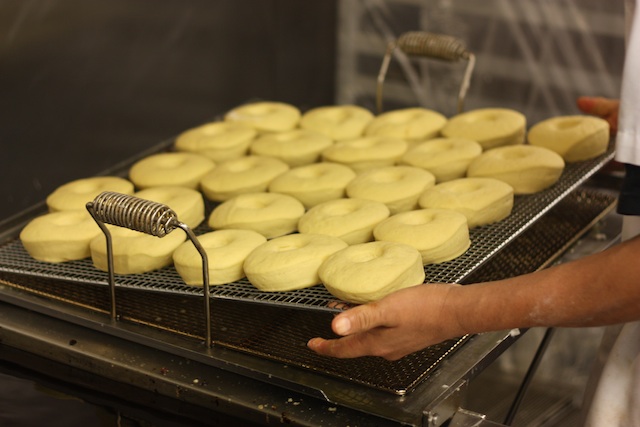 The rack of yeast doughnuts is ready for the fryer.