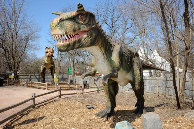 Carnotaurus and Tyrannosaurus rex at Brookfield Zoo\'s \"Dinosaurs Alive\" exhibit.