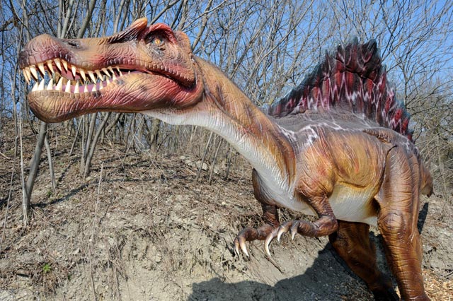 Spinosaurus at Brookfield Zoo\'s \"Dinosaurs Alive\" exhibit.