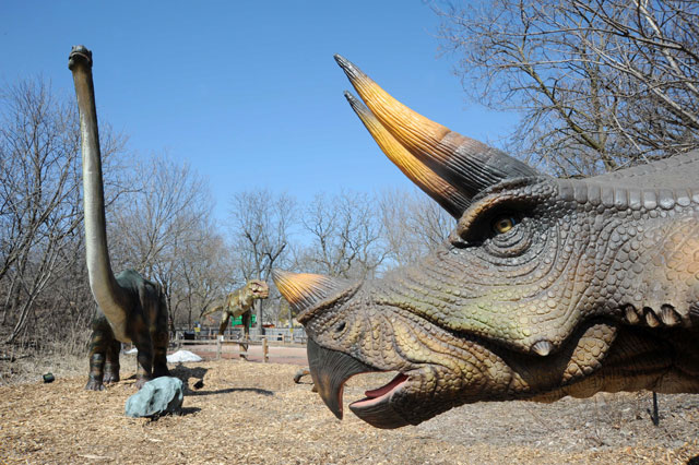A Tyrannosaurus rex stalks a Triceratops and Omeisaurus at Brookfield Zoo\'s \"Dinosaurs Alive\" exhibit.